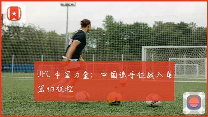 UFC 中国力量:中国选手征战八角笼的征程