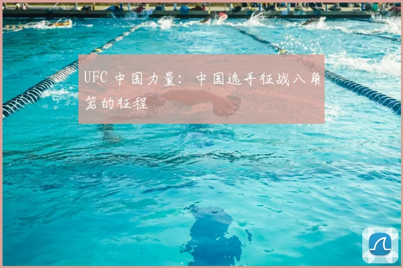 UFC 中国力量：中国选手征战八角笼的征程