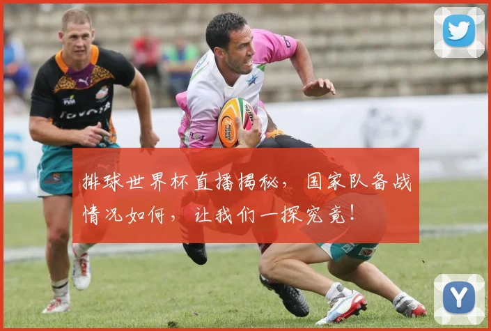 排球世界杯直播揭秘，国家队备战情况如何，让我们一探究竟！